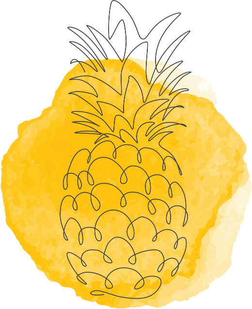 Fertility - sketch of pineapple